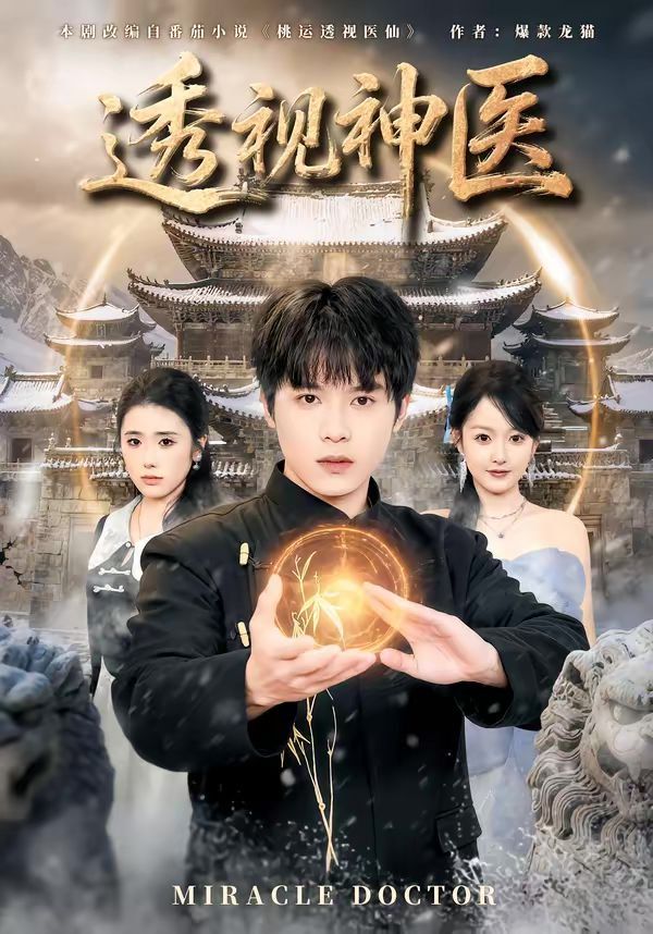 透視神醫(yī)（2026）(全集)