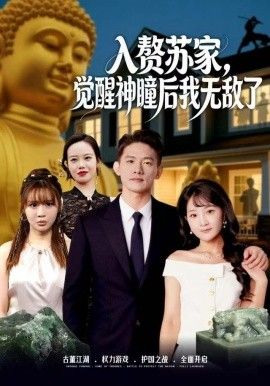 贅蘇家，覺醒神瞳后我無敵了(全集)