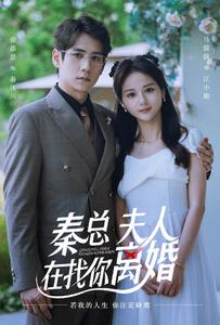 秦總，夫人在找你離婚(全集)