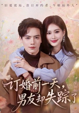 訂婚前一天，男友卻失蹤了(全集)