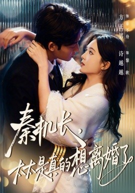 秦機長，太太是真的想離婚了(全集)